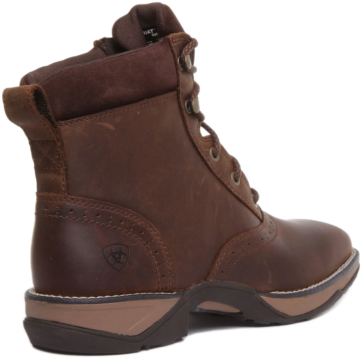 Ariat Anthem Lacer In Dark Brown For Women