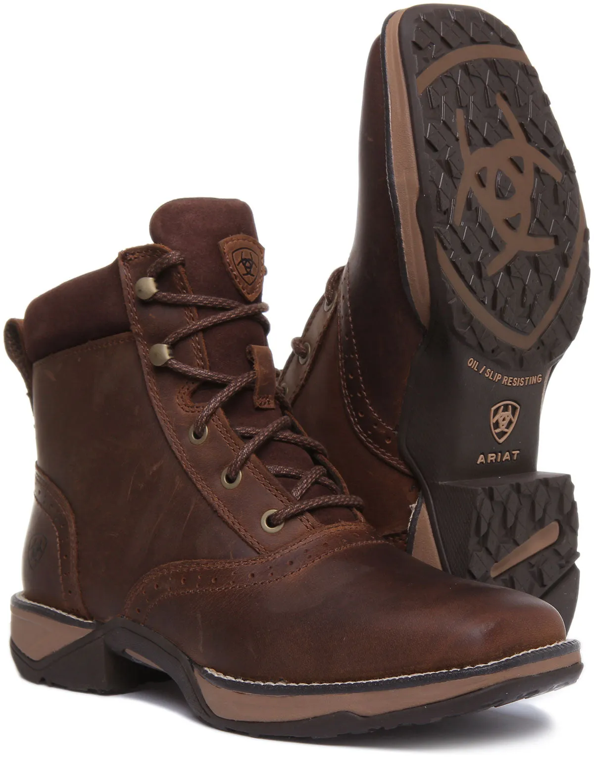 Ariat Anthem Lacer In Dark Brown For Women