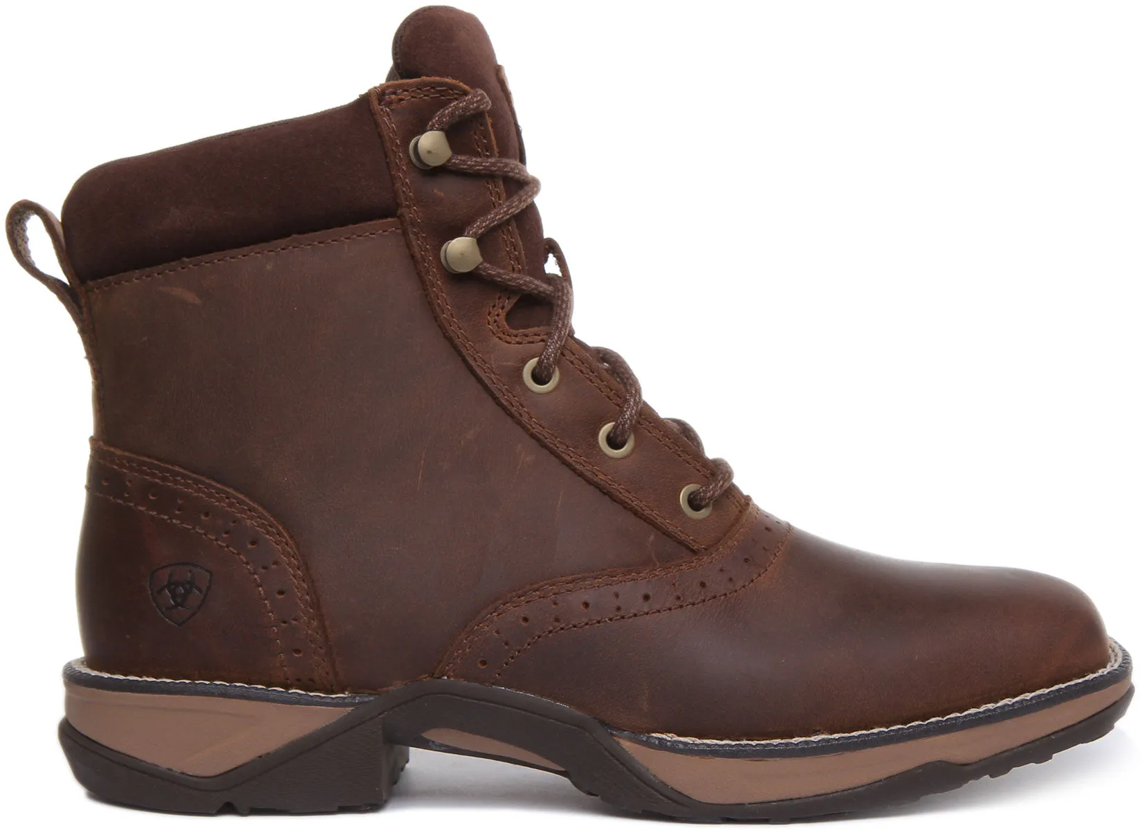 Ariat Anthem Lacer In Dark Brown For Women