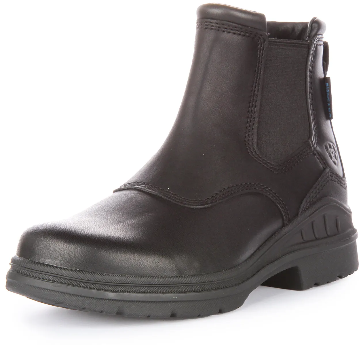 Ariat Barnyard Twin Waterproof In Black For Women