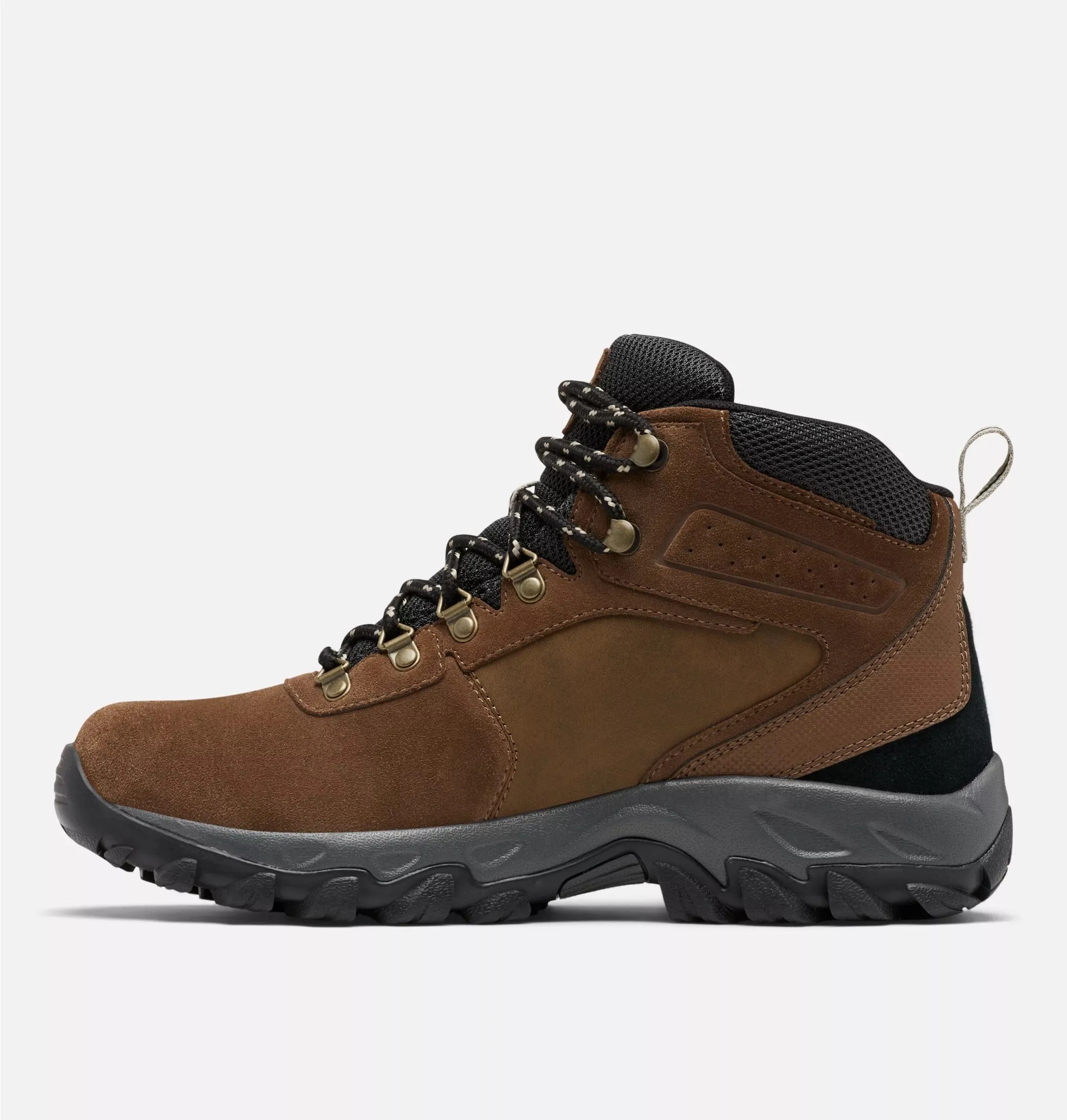 Newton Ridge™ Plus II Suede WP